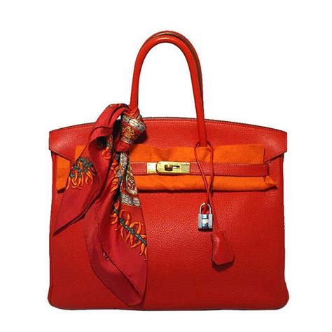 bougainvillea hermes|hermes rouge vif.